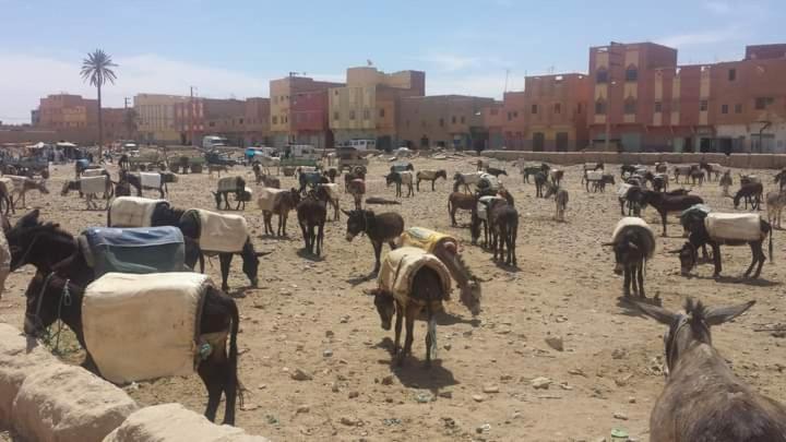 Hotel Maison Bedouin Merzouga Exterior foto